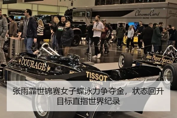 zhang-yu-fei-shi-jin-sai-nv-zi-die-yong-li-zheng-duo-jin-zhuang-tai-hui-sheng-mu-biao-zhi-zhi-shi-jie-ji-lu-2-605.jpg