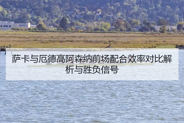 萨卡与厄德高阿森纳前场配合效率对比解析与胜负信号